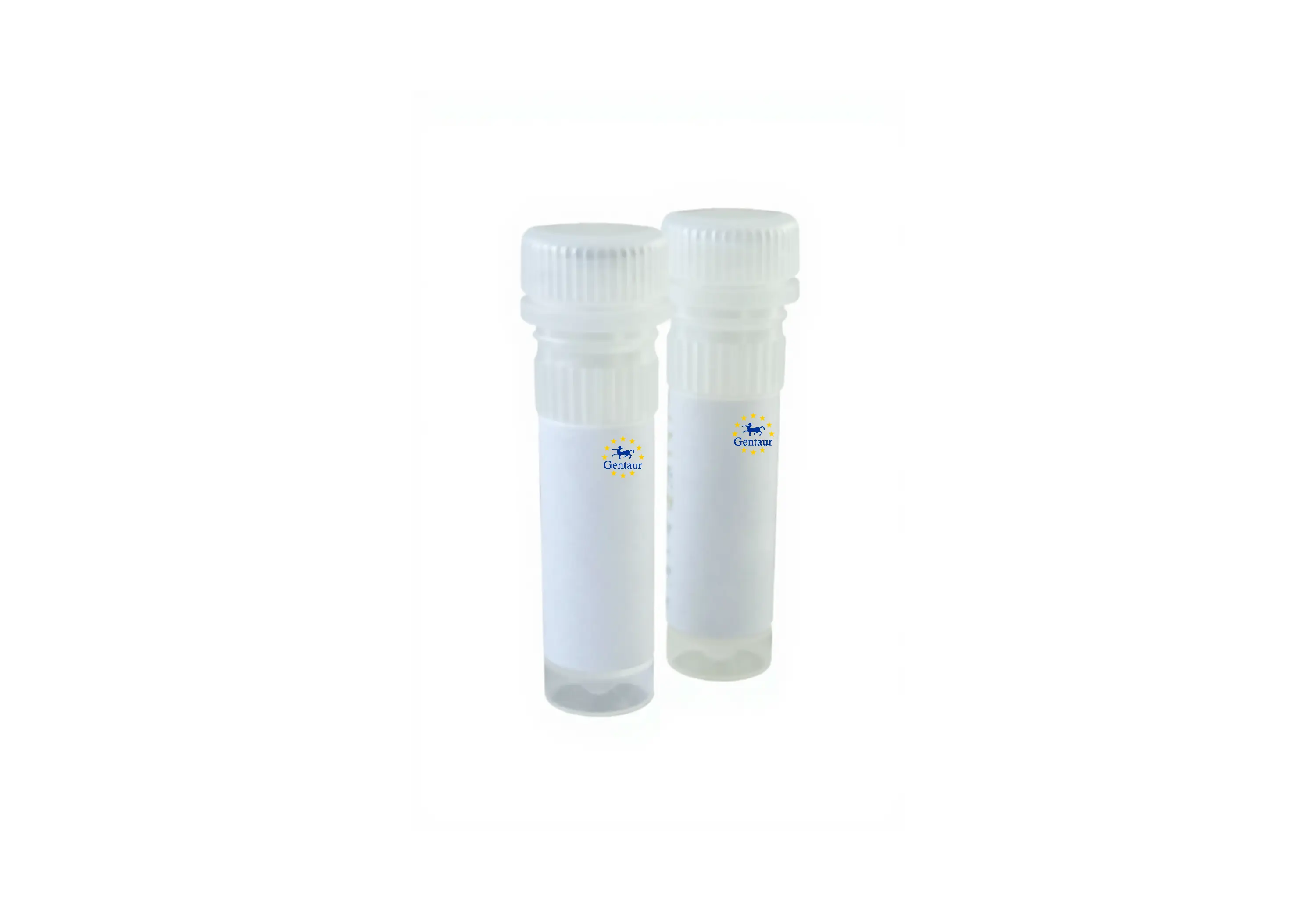 1x high sensitivity dsdna assay kit